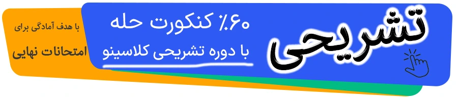 دوره تشریحی کلاسینو ویژه کنکور سراسری